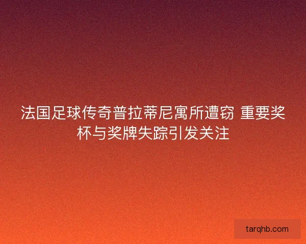 法国足球传奇普拉蒂尼寓所遭窃 重要奖杯与奖牌失踪引发关注